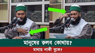 মানুষের ক্বলব কোথায় থাকে মাথায় নাকি সীনায়  Dr Anayetullah Abbasi  Abbasi Tv  02052024 [upl. by Suinotna]