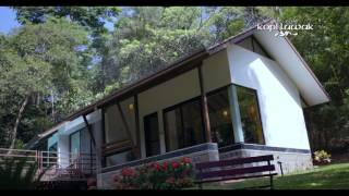 Stay at The IBNII Resort in Coorg  Weekend Getaways from Bangalore [upl. by Ulphiah]