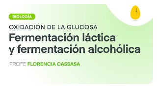 Fermentación láctica y alcohólica  Biología  Oxidación de la glucosa  V8  Egg Educación [upl. by Nikoletta597]