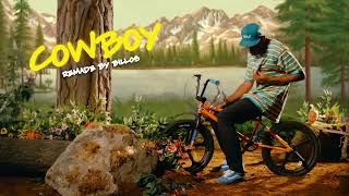 Cowboy by Tyler The Creator but it will really make you the cowboy on your own trip [upl. by Heshum]