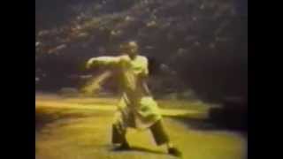 郑曼青太极及推手 Cheng Man Ching Taichi form and pushhands [upl. by Body]