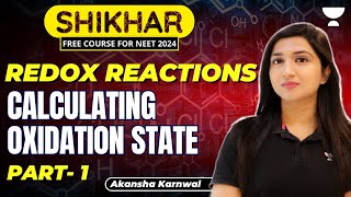 Redox Reactions  Calculating Oxidation State  Part 1  NEET 2024  Akansha Karnwal [upl. by Opal]