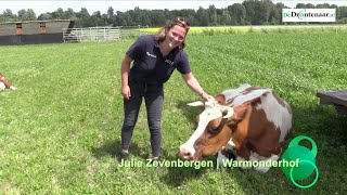 Doorloopwagen en melktap bij de Hofwinkel Warmonderhof in Dronten [upl. by Buller325]