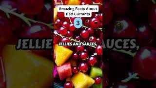 5 Amazing Facts About Red Currants zapetv fruit facts [upl. by Nauquf]