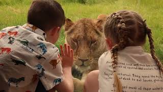 Have a wild day out at Blackpool Zoo [upl. by Fairleigh]