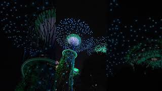 Singapore Gardens by The Bay Light Show [upl. by Dahc]