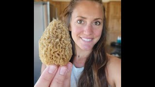 Finding amp Cooking MOREL MUSHROOMS in Oklahoma [upl. by Langley849]