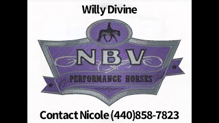 SOLDAqhaRoan All Around For Sale Willy Divine quotSpencerquot [upl. by Frans]