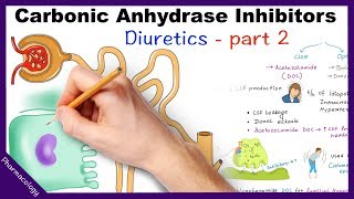 Pharmacology  Diuretics Part 2  Carbonic Anhydrase Inhibitors [upl. by Lamak]