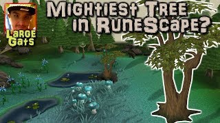 Second Shrubbery Achievement The Hunt for the Mightiest Tree [upl. by Eniamerej]