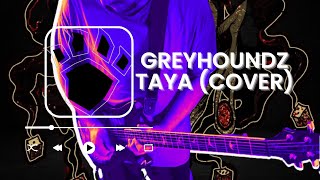 GREYHOUNDZ  Taya live from Tower Radio sessions  guitar cover [upl. by Mitzl]