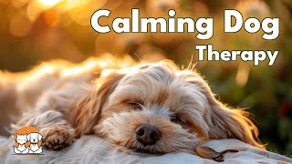 Dog Healing Music Calming Therapy for Anxiety Relaxation and Better Sleep [upl. by Scrivings]