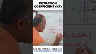 Filtration Coefficient Kf drnajeeb shortvideo drnajeeblectures [upl. by Siramed]