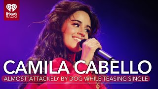 Camila Cabello Almost Got Attacked By A Dog While Teasing New Single  Fast Facts [upl. by Anivek657]