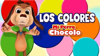 MI PERRO CHOCOLO APRENDE  LOS COLORES EN ESPAÑOL E INGLÉS [upl. by Selmner]