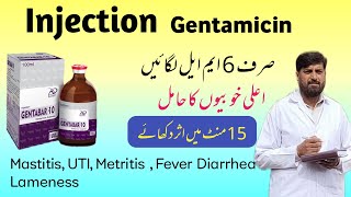 Injection جینٹا مائی سین  Gentamicin Use In Mastitis Metritis Pneumonia Diarrhea  Gentafar [upl. by Lednek]