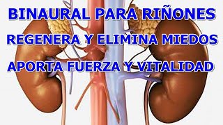 BINAURAL PARA REGENERAR LOS RINONES Y ELIMINAR TEMORES Y MIEDOS APORTANDO FUERZA Y VITALIDAD [upl. by Falito677]