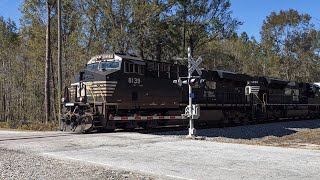 Norfolk Southern 191 Mixed Freight Departing Augusta Ga [upl. by Otilopih]