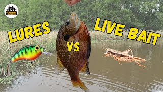 Bluegill challenge lures vs live bait [upl. by Survance930]