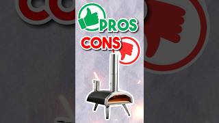 Ooni Fyra 12 Wood Pellet Pizza Oven  Pros amp Cons [upl. by Damara]