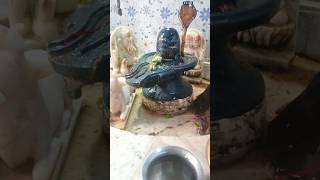 23 NOVEMBER shri kaal bhairav shorts vlog trending [upl. by Swanhilda]