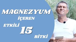 DOĞAL MAGNEZYUM NELERDE VARDIR I EN İYİ MAGNEZYUM İÇEREN BESİNLER [upl. by Namqul611]