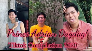 Prince Adrian Dagdag Tiktok Compilation 2020 Overload sa Kilig [upl. by Howlyn]