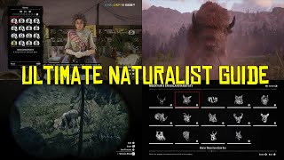 Red Dead Online Ultimate Naturalist Guide How To Make Money With The Naturalist Role [upl. by Kaiser795]