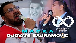 DJOVANI BAJRAMOVIC  MACKA OFFICIAL AUDIO [upl. by Sabec]