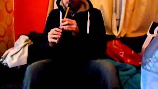 DonnyBrook Fair  Tin Whistle [upl. by Camilia]