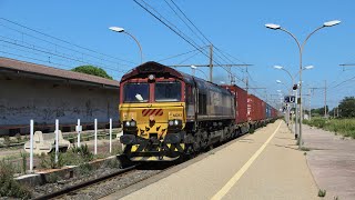 Deux trains de marchandises à ArlesTwo freight trains at Arles  2924 [upl. by Atiuqrehs735]