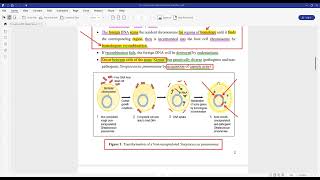 bacterial genetics part 3 شرح ميكرو كلية الطب [upl. by Magavern676]