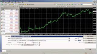 How To Backtest in MT4 [upl. by Mehalek]