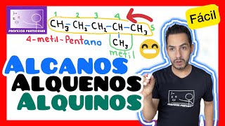 ✅ALCANOS ALQUENOS Y ALQUINOS  𝙄𝙙𝙚𝙖𝙡 𝙥𝙖𝙧𝙖 𝘼𝙋𝙍𝙀𝙉𝘿𝙀𝙍 😎​🫵​💯​ Química ORGÁNICA [upl. by Petey]