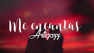 Me Encantas  ARTIGAZZ video lyric [upl. by Aeneg159]