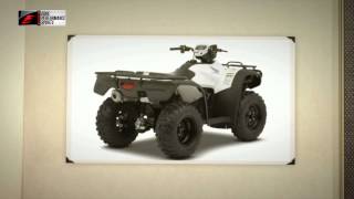 2014 Honda FourTrax Foreman Rubicon Review Oregon [upl. by Parrnell]