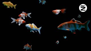 💥 HD Video 3d Hologram Aquarium  🎼 With Music [upl. by Haodnanehs509]