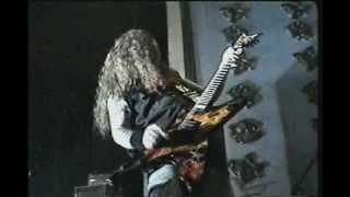 DIMEVISION  Dimebag Darrell Documentary  Full DvD [upl. by Mccormick]