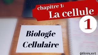 Chapitre 1  La cellule les procaryotes [upl. by Nylodnarb382]