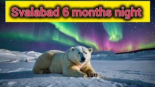 How is LIFE in SVALBARD 🇳🇴 6 Month Night amp 6 Month Day [upl. by Ahsiener]