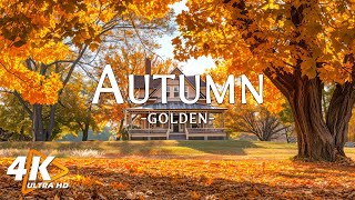 11 HOURS of 4K Enchanting Autumn Nature Scenes  Relaxing Piano Music for Stress Relief [upl. by Cita]