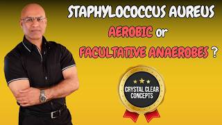 Staphylococcus Aureus  Aerobic or Facultative Anaerobic Bacteria [upl. by Sergio]