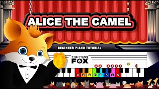 Alice the Camel Sally the Camel  Easy Piano Tutorial amp Fun Cartoon for Kids Learning Music [upl. by Ycak]