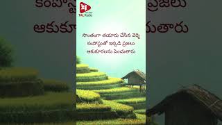 పూర్తిగా సేంద్రియ వ్యవసాయం చేస్తున్న సిక్కిం [upl. by Akcirederf]