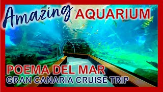 Amazing Aquarium  Poema Del Mar walkthrough  Gran Canaria Cruse Port Trips [upl. by Lewison]