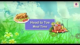 Head to Toe  Meal Time  Science Grade 1  Periwinkle [upl. by Jona]