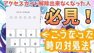 【対処法紹介】アクセスガイドバグってiPad操作不能になりました… [upl. by Wald]