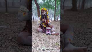 Mai Tumko Shish Navata Hu😍har har mahadev  shortvideo youtubeshorts shorts viral reel [upl. by O'Conner]