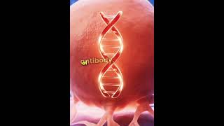 Monoclonal antibodies👍👍 [upl. by Tricia]