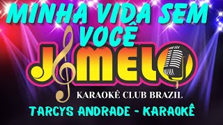 MINHA VIDA SEM VOCE NIKITA  TARCYS ANDRADE  KARAOKE [upl. by Lorolla319]